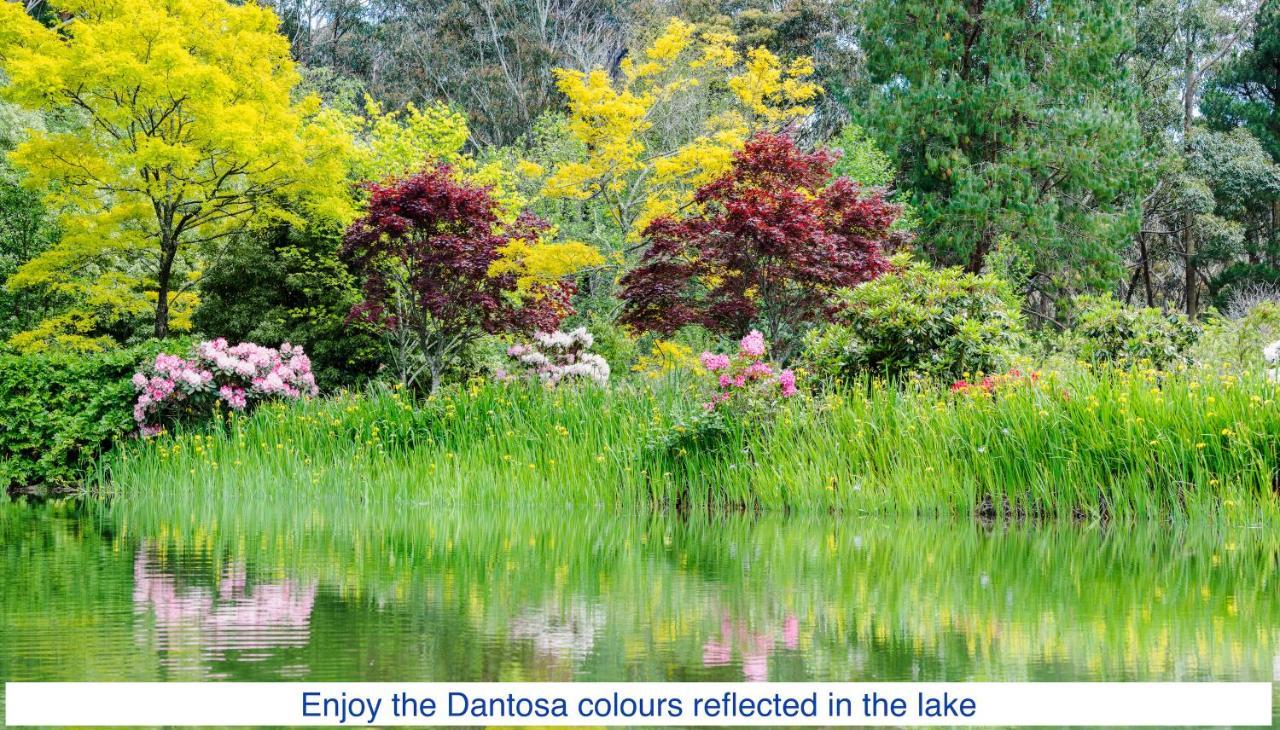 Dantosa Blue Mountains Retreat Villa Katoomba Bagian luar foto