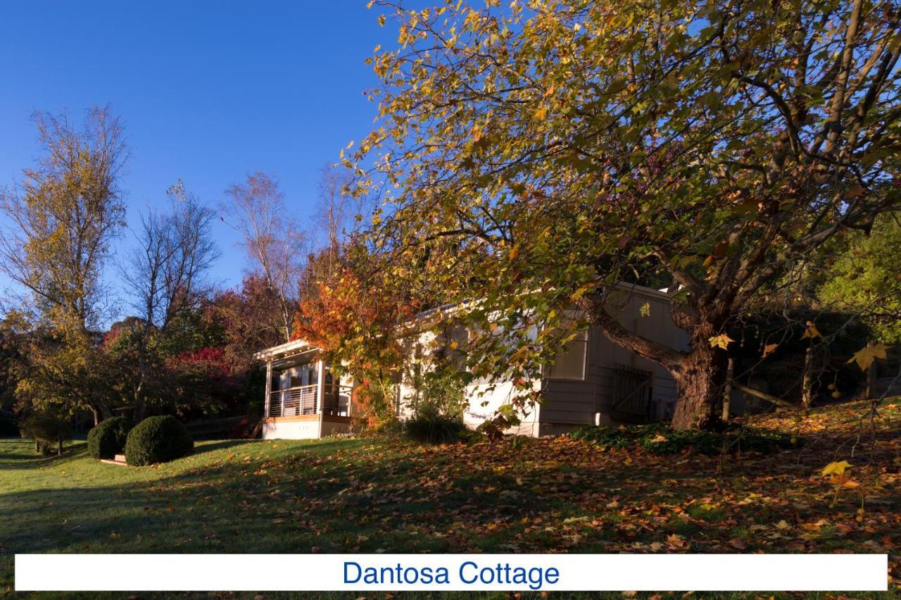 Dantosa Blue Mountains Retreat Villa Katoomba Bagian luar foto