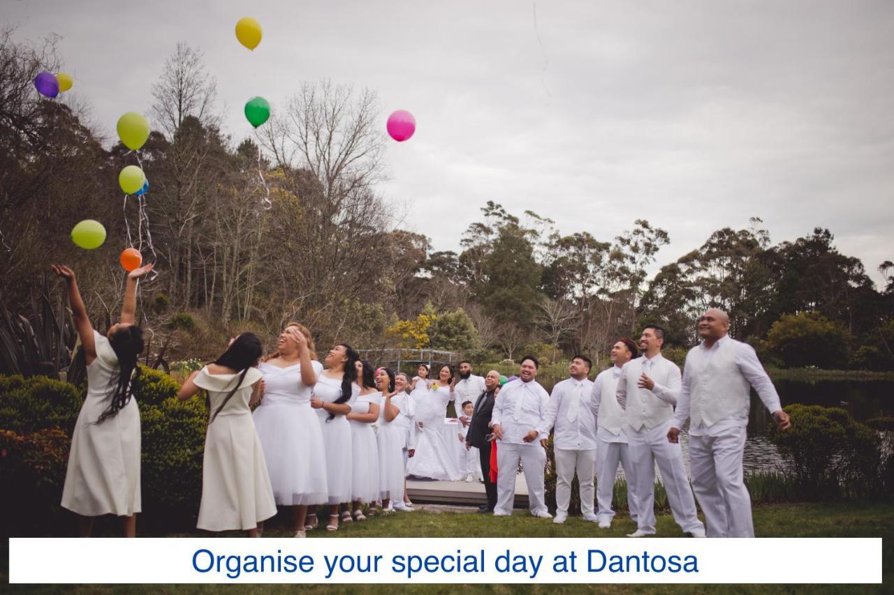 Dantosa Blue Mountains Retreat Villa Katoomba Bagian luar foto